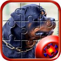 Dog Jigsaw Puzzles, Cute Dog Jigsaw Puzzles