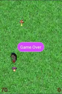 Crazy Hedgehog Game Screen Shot 3