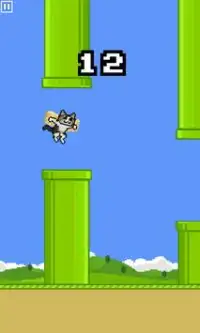 Flappy Cat Arya Screen Shot 2