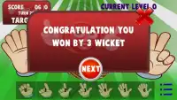 Hand Cricket Screen Shot 3