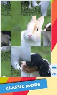 T-Puzzle: Animals in Love Screen Shot 2