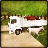 Pk Animals Eid Transport 2017