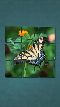 나비 생각 퍼즐 Screen Shot 0