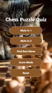 Chess Puzzle Quiz - Chess Puzzle for Beginners Screen Shot 1