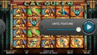 Casino Free Slot Game - CAT QUEEN Screen Shot 1