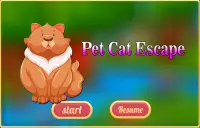 Free New Escape Game 70 Pet Cat Escape Screen Shot 0