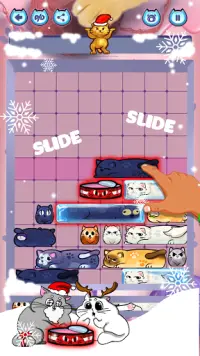 Slide Puzzle: Train Brain by solving cat challenge Screen Shot 1