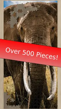 Safari Jigsaw Puzzles - Wildlife Jigsaws Screen Shot 1