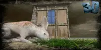 Life of Rabbit Screen Shot 3