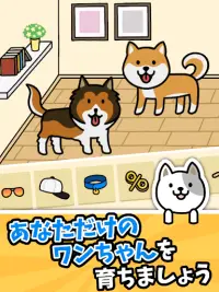 犬のゲーム Dog Game ‐ 癒し・放置系収集ゲーム Screen Shot 0