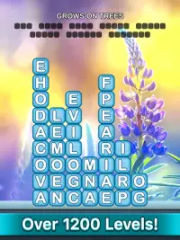 Word Blocks Connect Stacks Word Search Crush Games Screen Shot 8