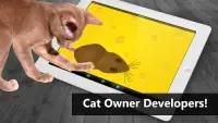 Cat Toys - MouseHunt Cat Games Screen Shot 2