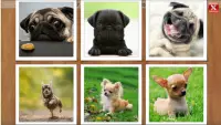 Dogs Puzzle - Kids & Adults. Free jigsaw game! Screen Shot 2