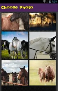 لعبة ترتيب الصور - صور خيول Screen Shot 4