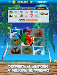 La Perla Del Caribe Deluxe – Tragaperras Gratis Screen Shot 22