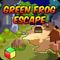 Best Escape Games - Green Frog Escape Game Screen Shot 2