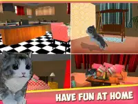 Cute Kitty Cat - 3D Simulator Screen Shot 10