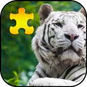 Biały Tygrys Puzzle Gry