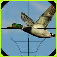 Duck Hunter Game