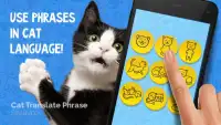 Cat Translate Phrase Simulator Screen Shot 0