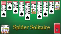 Spider Solitaire Screen Shot 0