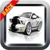 Fast Cars Race