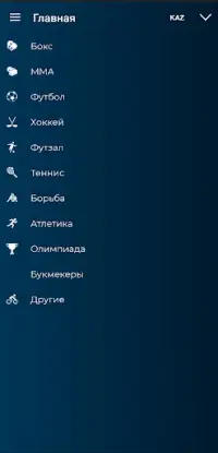 Vesti.kz спорт в Казахстане Screen Shot 3