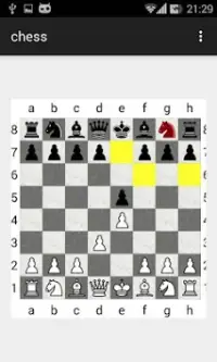Bet on Chess Screen Shot 0