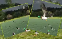 Sniper Duck Hunting Screen Shot 2