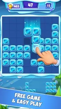 Ice Block Puzzle Screen Shot 0