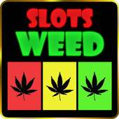 Big Weed Slots