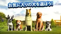 犬 Dog Simulator Screen Shot 2