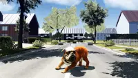 Simulador de Bull Dog Screen Shot 10