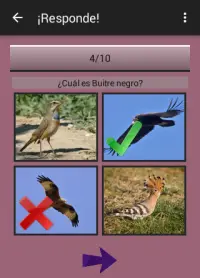 104 Aves Quiz Screen Shot 2