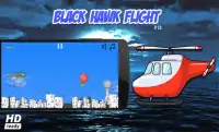 Black Hawk Flight Screen Shot 2