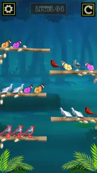 Colored Bird Sort Puzzle Screen Shot 2