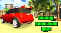 Driving Simulator: Mini Cooper Race Screen Shot 1