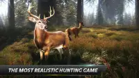 The Hunter 3D : Hunting Game Screen Shot 0