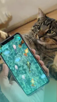 Een spel voor de kat. Vissen Screen Shot 2