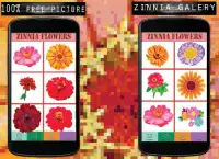Zinnia Flowers Color By Number-Pixel Art Screen Shot 5