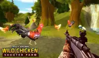 Chicken roasters in chicken roaster farm for shoot Screen Shot 2