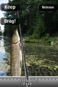 i Fishing Lite Screen Shot 1