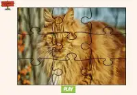 Kucing Jigsaw Puzzle Permainan Screen Shot 0