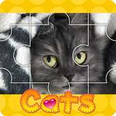 猫のジグソーパズル(ねこパズル)