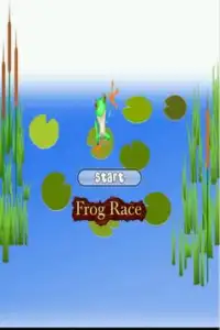เกมกบหาคู่ Frog Race Match Screen Shot 0