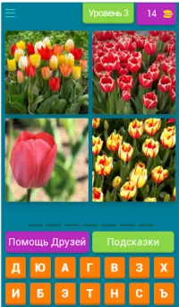 4 фото 1 слово.Бесплатные игры Screen Shot 3