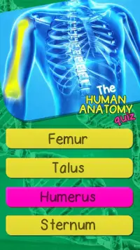 人体解剖学クイズゲーム Screen Shot 0