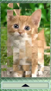 Puzzle Cats Screen Shot 5