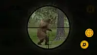 Bear Hunting Challenge Screen Shot 3