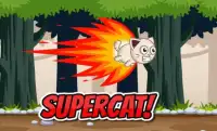 Super Cat Screen Shot 0